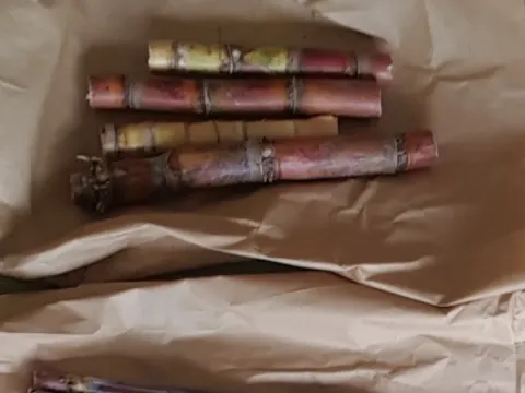 Sugarcane