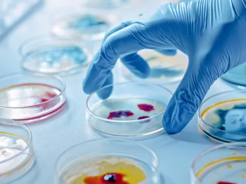 Bacterial biomass