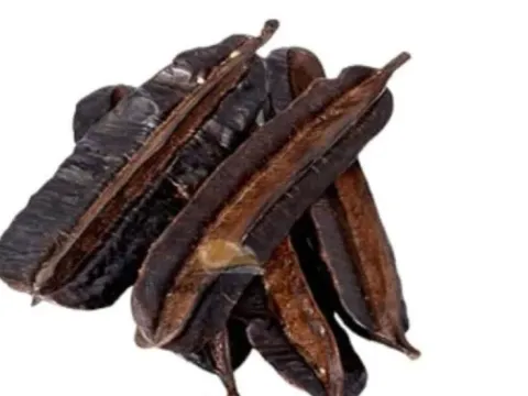 Tetrapleura