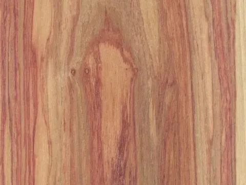 Tulipwood