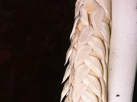 Nenga