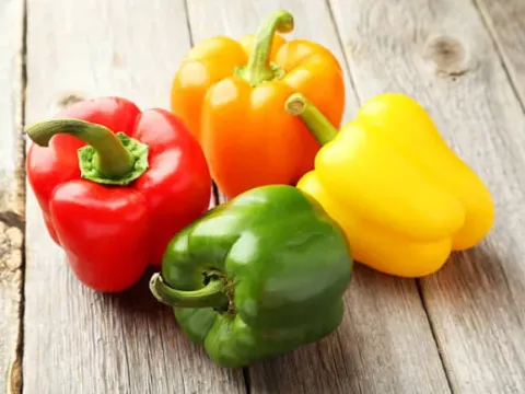 Pepper hybrids