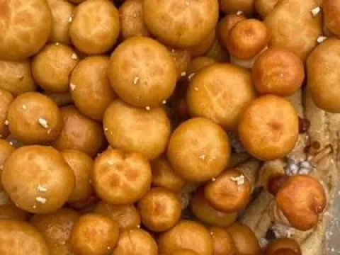 Фоліота намеко