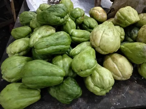 Chayote