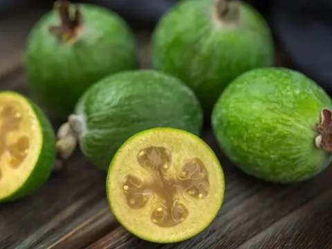 Feijoa