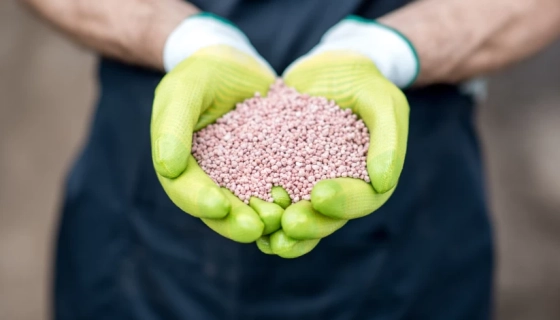 Особливості ринку добрив в Україні 2023