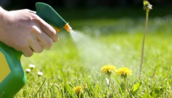 Гербициды: эффективное средство для борьбы с сорняками