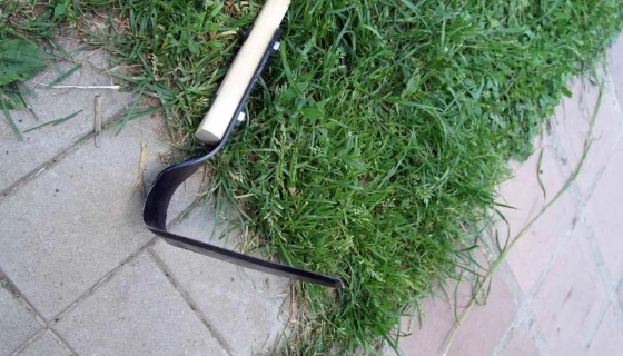 Полезные советы для тех, кто решил заняться органическим земледелием