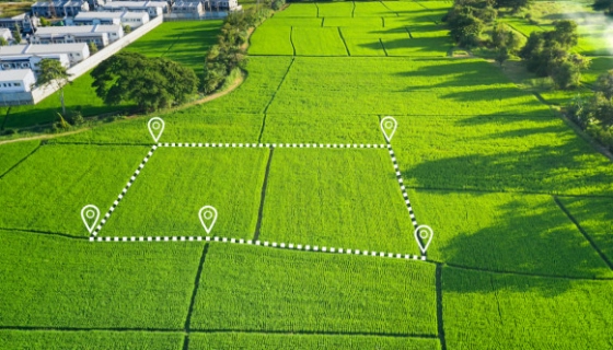 Как при помощи аукционов без проблем взять в аренду сельскохозяйственную землю для развития своего предприяти