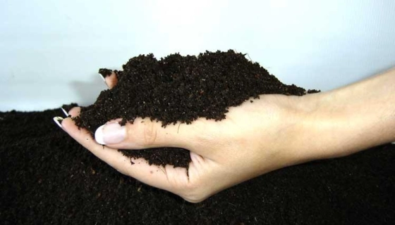 Выбор и применение субстратов для растений