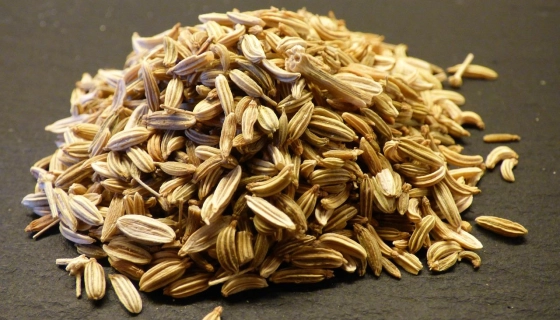 Использование протравителей семян: защита урожая без риска 