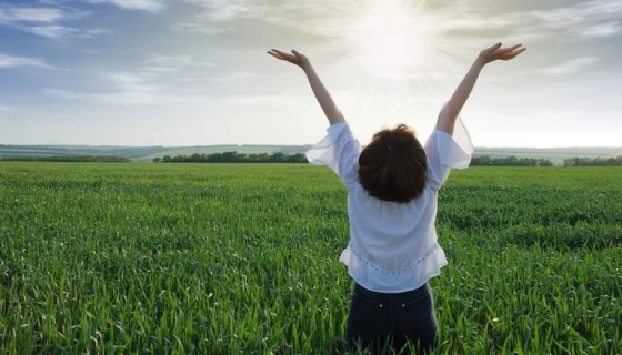 Реабилитация и лечение зависимостей: ключевые аспекты и подходы