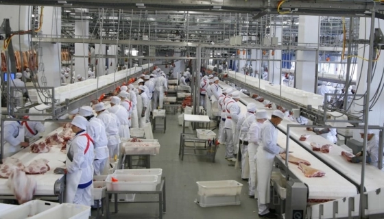 Преимущества использования нержавеющей стали в пищевом оборудовании.