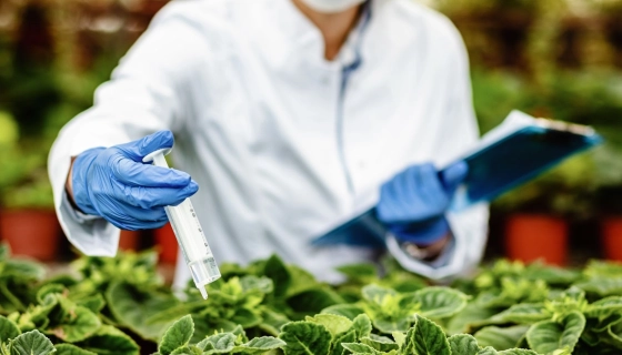 Что такое десикация и для чего она нужна?