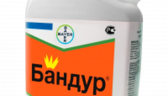 Технические аспекты применения Бандура: правильное опрыскивание и подготовка почвы