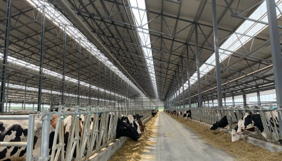 Світлопрозорі лінії з полікарбонату "Suntuf" у покрівлі: природне освітлення та захист від перегріву