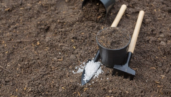 Які добрива найкраще вносити восени?