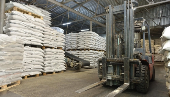 Как выбрать комплектовщик заказов для склада: основные параметры и советы