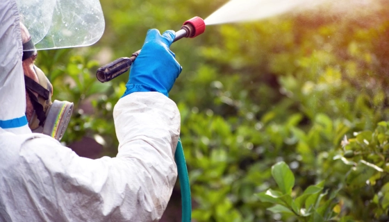 Системные фунгициды нового поколения: как работают комбинированные препараты