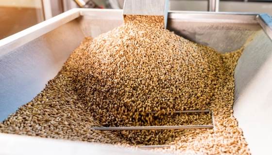 Топ 5 причин обрати зерносушарки Strahl для агробізнесу