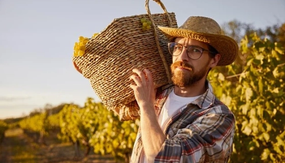 Защита спины и коленей агрономов