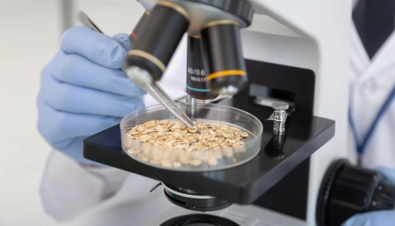 Определение качества зерна в лабораторных условиях и особенности оборудования
