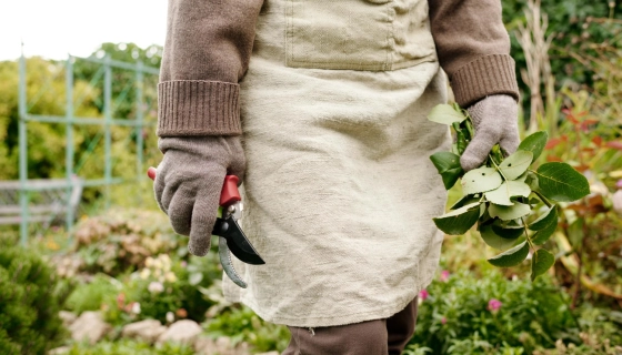 Какие режимы стирки удобны для одежды после работы с землей, рассадой и удобрениями