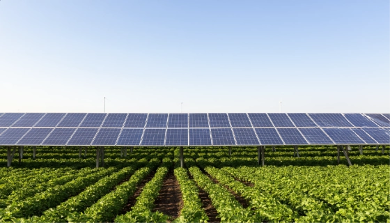 Развитие агровольтаики в Украине