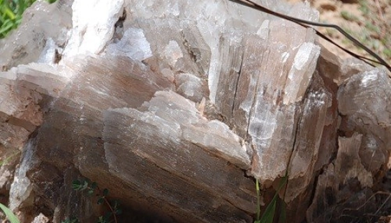 Цена на алебастр определяется классом материала