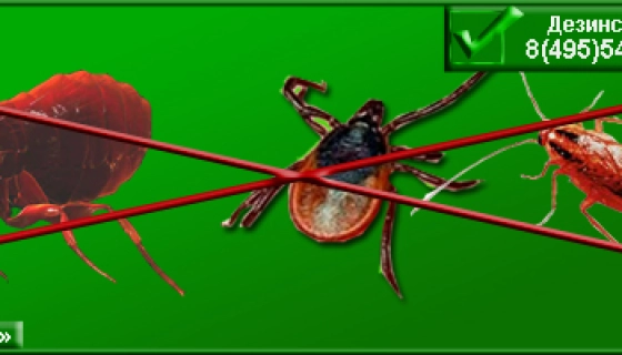 Дезинсекция от компании Санита-С