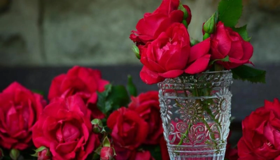 Гладиолусы: красивые виды и рекомендации по уходу от Florium.ua