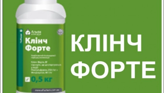 Стоит ли применять гербицид Клинч Форте на кукурузе?