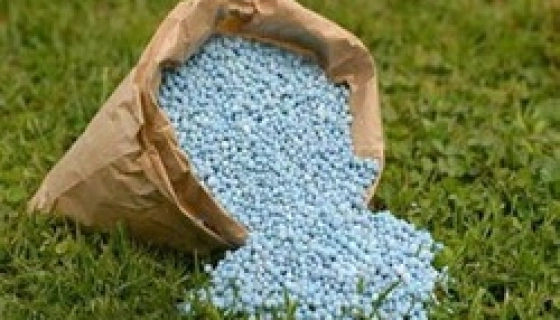 Минеральные удобрения: польза или вред?