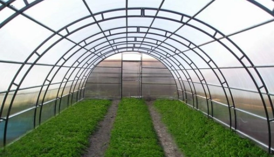 Промышленные теплицы: конструктивные особенности и ассортимент сооружений