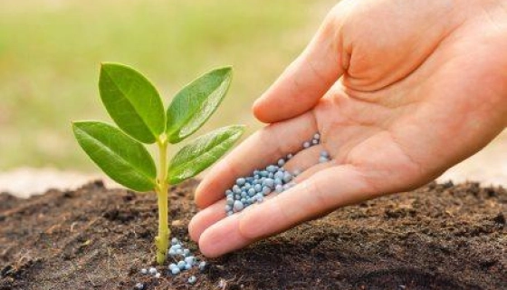 Как правильно выбрать удобрения