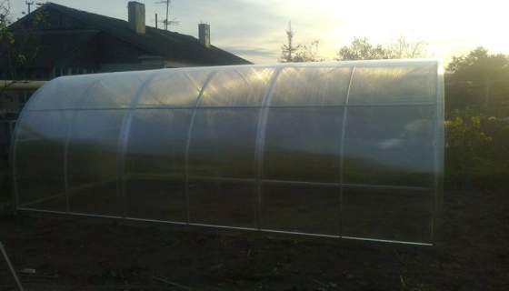 Как обустроить теплицу внутри?