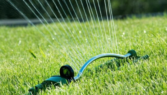 Капельное орошение как эффективный способ полива растений