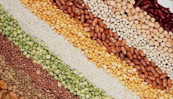 Покупка семян