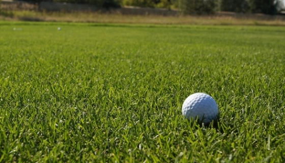 Рулонные газоны для обустройства спортивных площадок