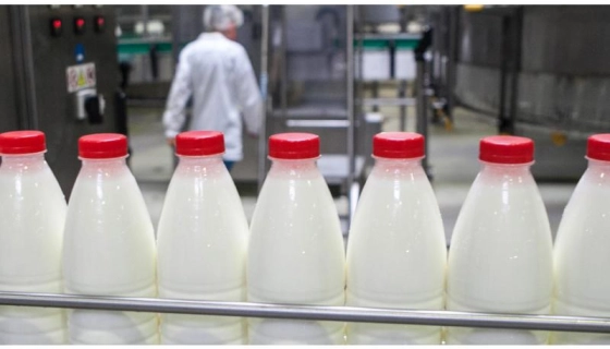 Сыворотка сухая подсырная от производителя