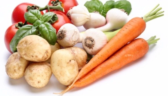 Как и где приобрести семена?