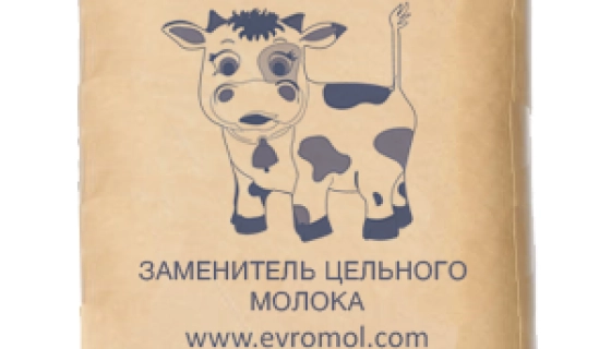 Сыворотка сухая: особенности применения и производства