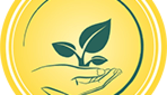 Рассадные кассеты и горшки из полистирола: преимущества эксплуатации