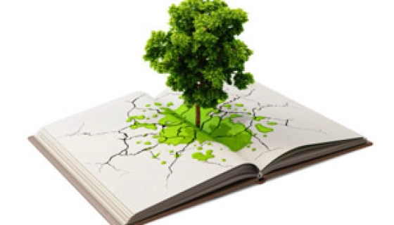 Классификация и виды минеральных удобрений