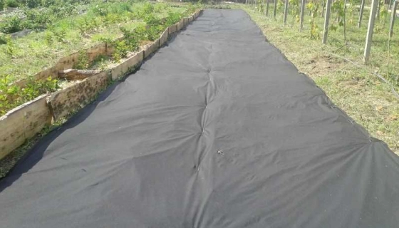 Агроволокно: типы, назначение, особенности использования