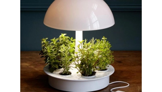 Фитосветильники для подсветки растений