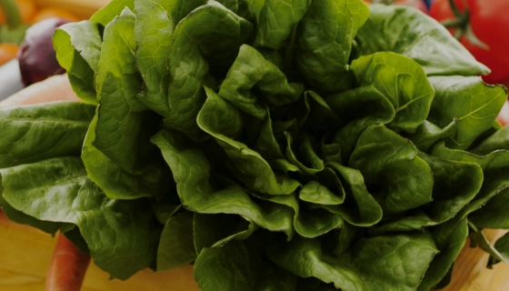 Электронная бизнес-площадка для аграриев: покупать и продавать оптом – просто