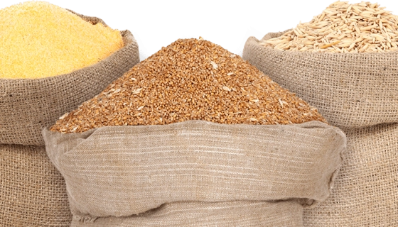 Как выгодно продать или купить пшеницу в Украине