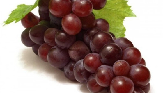 Виноград Низина – морозостойкий столовый сорт с «вишневым» привкусом