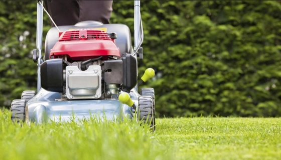 Какая садовая техника нужна для ухода за газоном